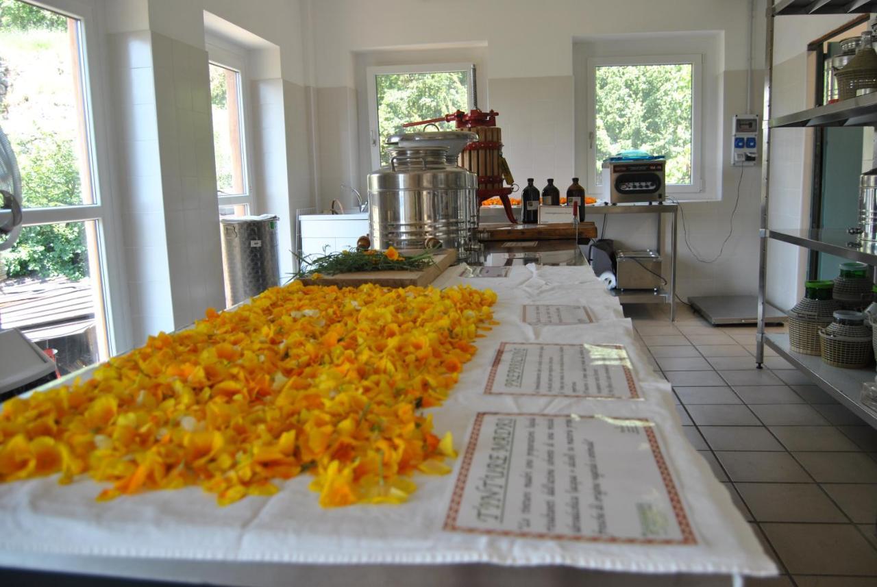Bed and Breakfast Ca' Dei Fazzilisti Mori Exterior foto